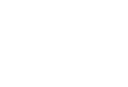 Hydro Ness Logo